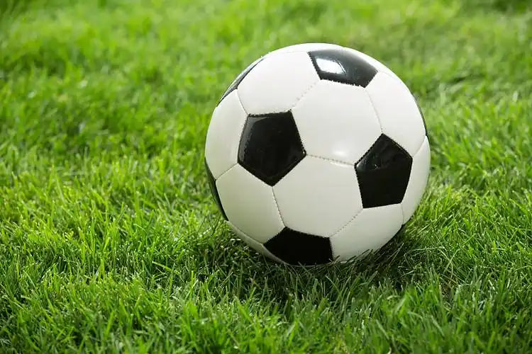 资深彩民用户场景